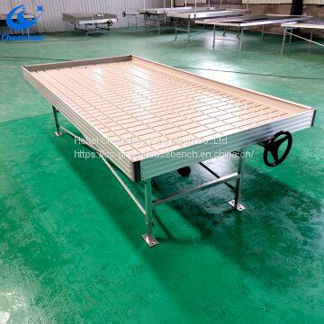 ebb and flow rolling bench 4'x8' used in greenhouse for seedling