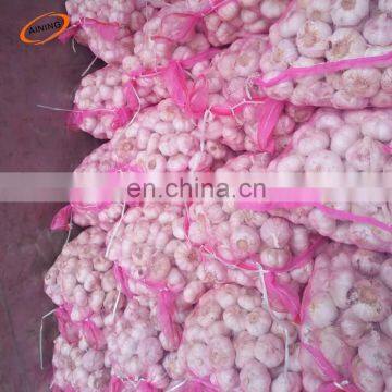 garlic packing bags net mesh bag for mussels, mussel mesh bag