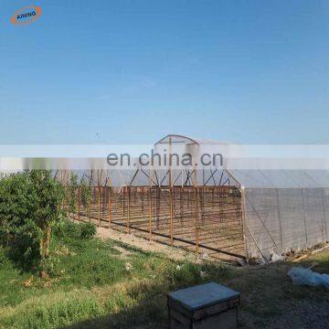 200 Micron uv Treated Clear Greenhouse Plastic Film/100% Virgin LDPE/PE Tunnel Greenhouse Cover for Sale Philippines