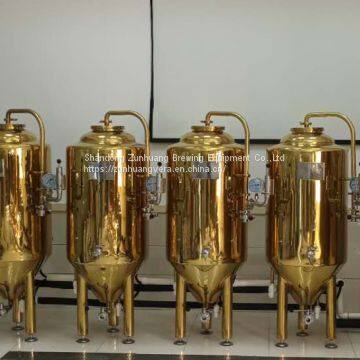 300L/ 2BBL titanium plating stainless steel beer fermentation tank beer fermenter
