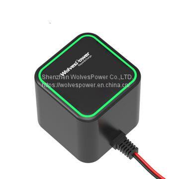 WolvesPower Cube1 car battery charger