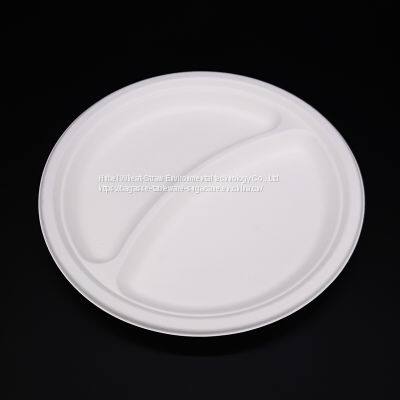 Disposable Biodegradable 9INCH 2C PLATE Take Away Sugarcane