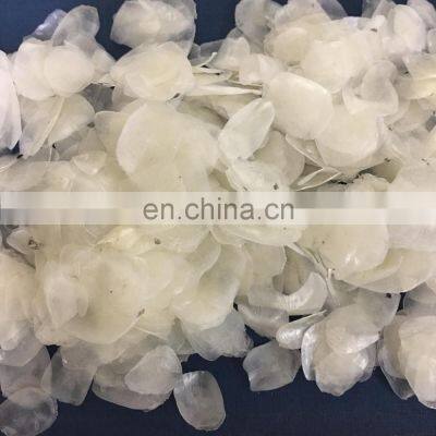 Dried Fish Scale From Vietnam / Fish Scale for Collagen photo-4