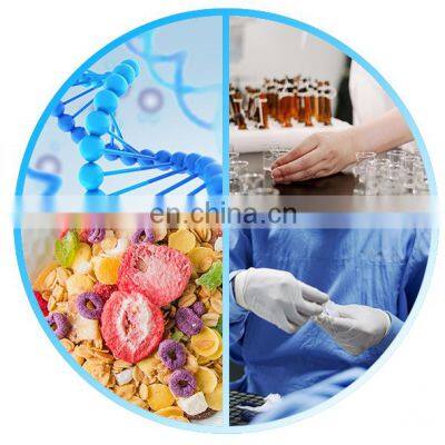 Small Pharmaceutical Industrial Freeze Dryer Vacuum Powder Freeze Dryer