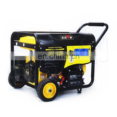 BISON CHINA Professional 8500W Gasoline Generator Electric Power Hand Start Gasoline Generator 8000W 220V