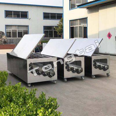 China Made Automatic Radish Washing Machine photo-3