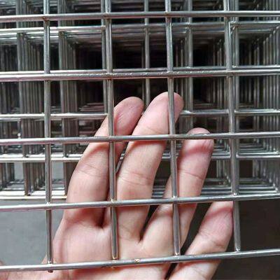 Electric Galvanized Hot-Dipped Galvanized Welded Wire Mesh Square Hole China Supplier for Wall Plastering Net Bending Cutting photo-6