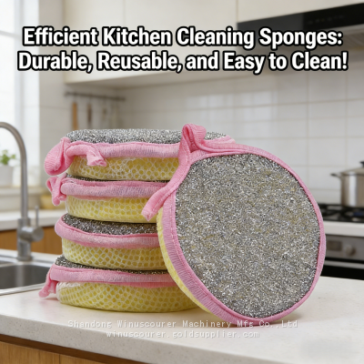 Custom 12pcs Pack Scouring Pad Kitchen Clean Scourer Sponge Pad photo-3