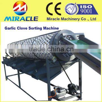 Separated garlic clove sorting and peeling machine from garlic process line