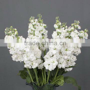 High quality unique flower decoration violet