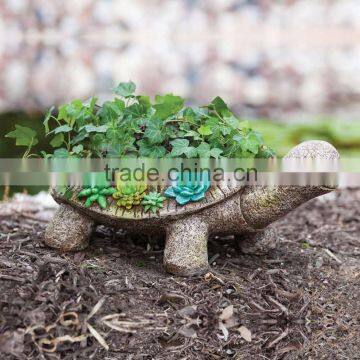 New Creative Succulent Garden Turtle Planter