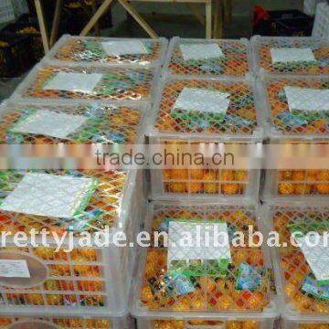 nanfeng baby mandarin