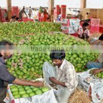 green mangoes