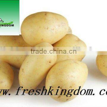 new season fresh potato