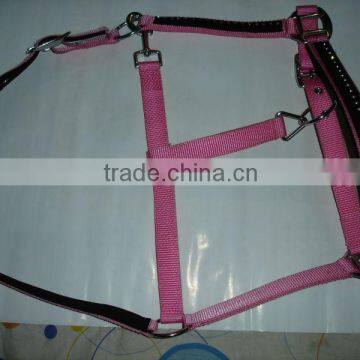 Nylon horse halter