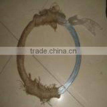 CHINA Electro Galvanized Wire Factory photo-5