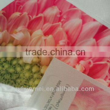 High quality Waterproof Polyester inkjet cloth coated canvas digitally printed