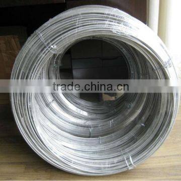 Professional Manufacturer of Galvanized metal wire (manufacturer)