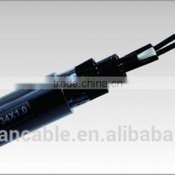 XLPE/PVC insulated Control Cables