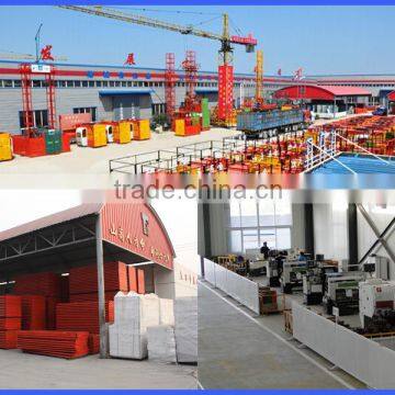 Zlp Electric Cradle/ Gondola/ Swing Stage/ Sky Climber