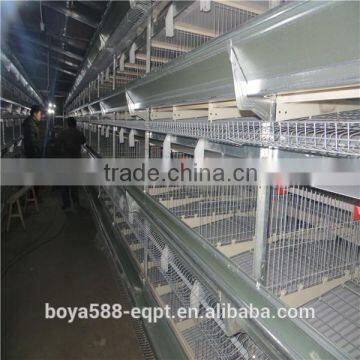 2016 New Design Cold/hot Galvanized Pullet Chicken Cage photo-2