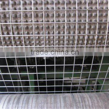 Welded Aviary Mesh