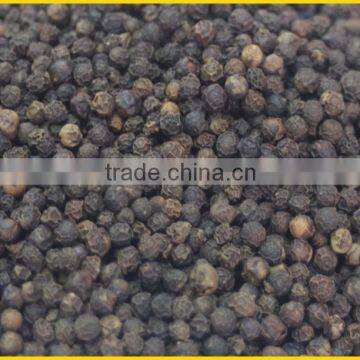 VIETNAM BLACK PEPPER/ PEPPER SEED & WHITEPEPPER 630 GL (whatsapp Mr.Duc +84 948082991)