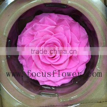 Natural Preserved Rose Door Gift From Yunnan