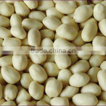 Blanched Peanut