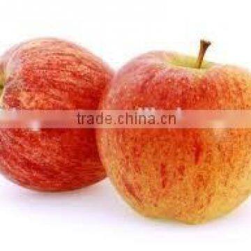 2015 new crop fresh sweet gala apple with good quality for sale