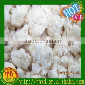 IQF Cauliflower with best quality