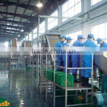 turnkey project of mango processing line