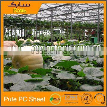 Plastic Greenhouses China photo-4