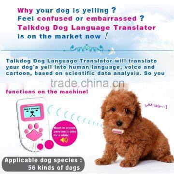Translating Dogs Barking And Body Language