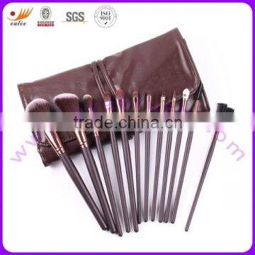 Brand OEM 12pcs Cosmetic Brush Tools with Super quality