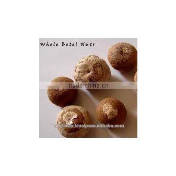 Whole BETEL NUTS best price