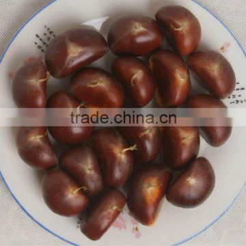 chinese fresh chestnut