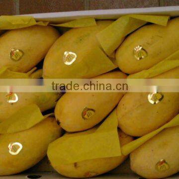 Chaunsa Mango