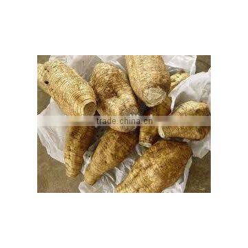 BNP Supply Best Natural Kudzu Root Extract