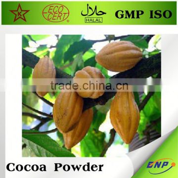 organic cocoa powder bulk