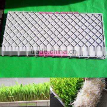 Plastic seeding tray cheap propagation tray wholesale