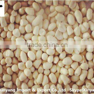 blanched peanuts-china manufacturer/new crop blanched peanut/white roasted blanched peanut kernels