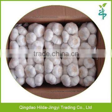 Chinese Garlic Wholesaler Garlic Distributor