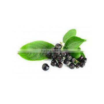 Aronia Extract