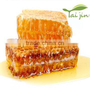 Export China Mountain Wild Rape Honey in Bulk photo-6