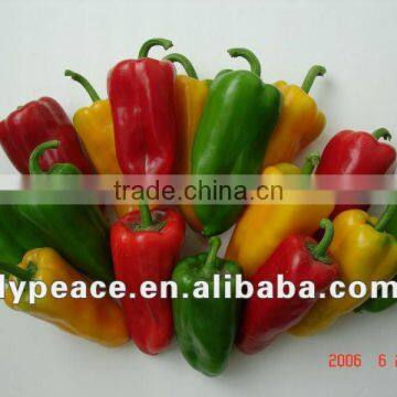 hot saling bell pepper material for spices