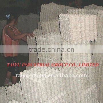 30 Eggs Paper Pulp Egg Tray