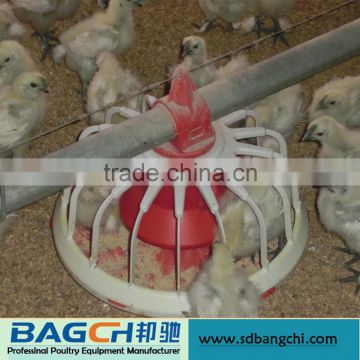 Complete Hot Sale Chicken Automatic Feed System