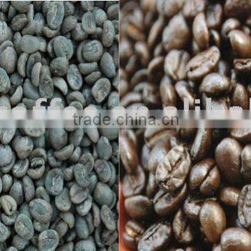 Arabica coffee bean