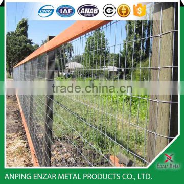 Welded Wire Mesh Garden Fence